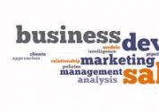 Business developer, un véritable intrapreneur