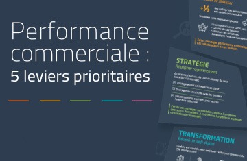 performance commerciale